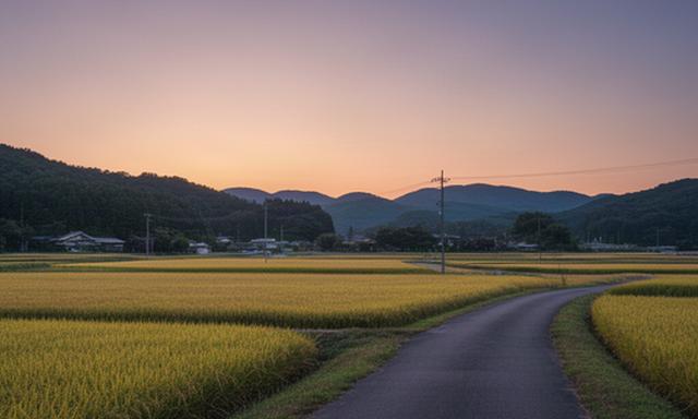 登米市のスタジオ周辺に広がる田園風景と夕方の道路
